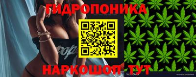 круглые Балаково