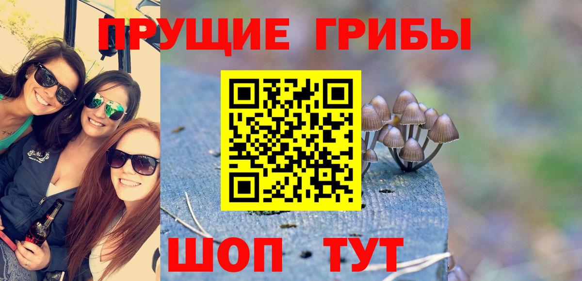 Галлюциногенные грибы Magic Shrooms Чистополь
