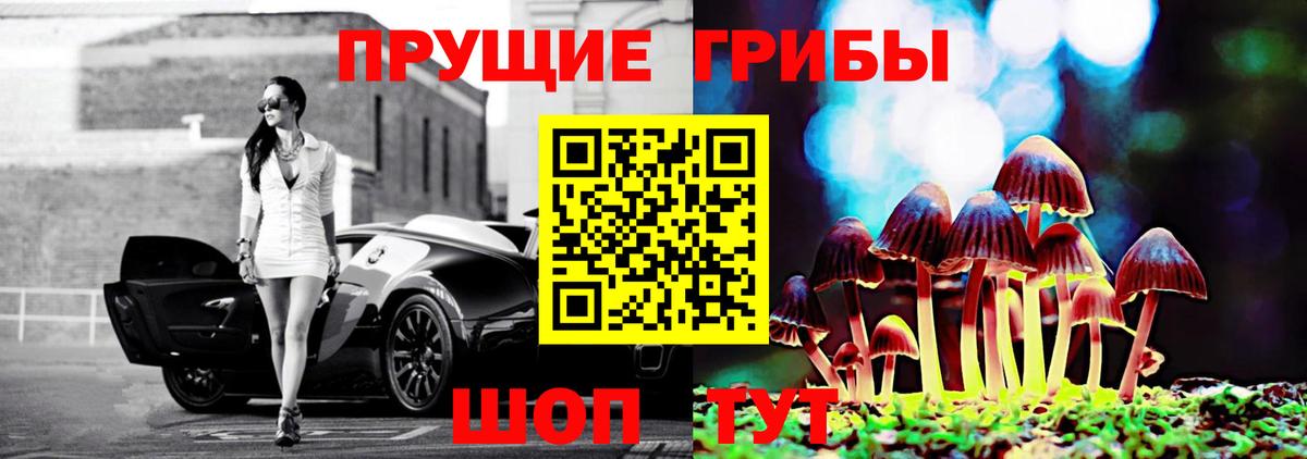 Галлюциногенные грибы Psilocybine cubensis Чистополь