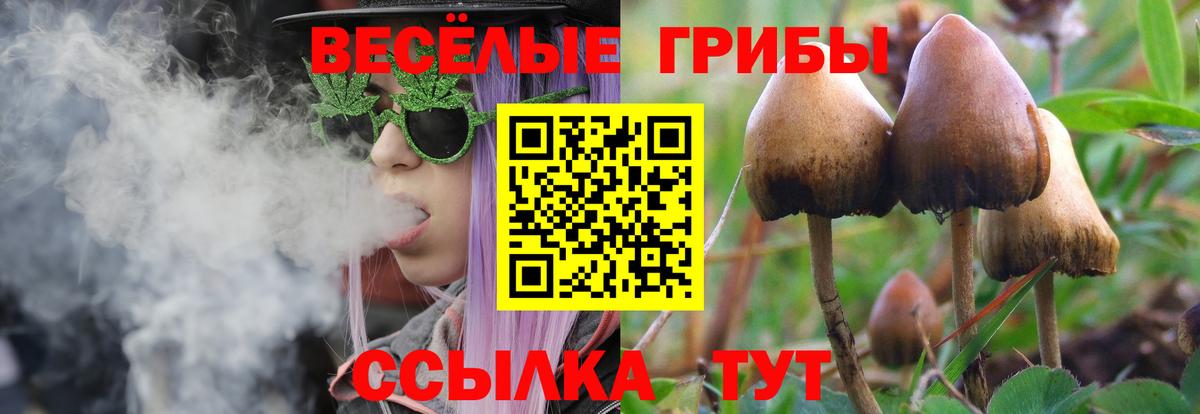 Псилоцибиновые грибы GOLDEN TEACHER  Галлюциногенные грибы MAGIC MUSHROOMS  Чистополь 